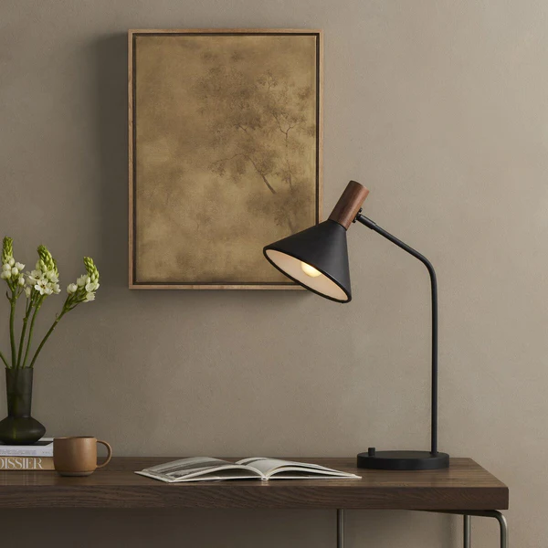 Desk Lamps