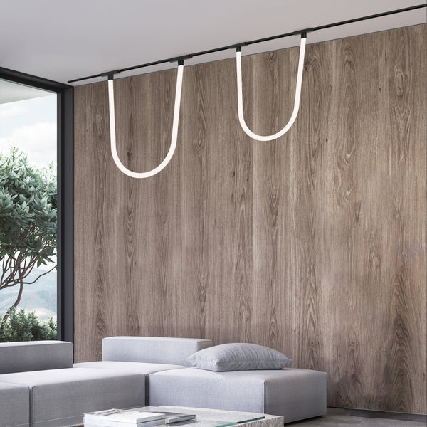 Track Light Fixtures