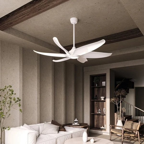 Indoor Ceiling Fans