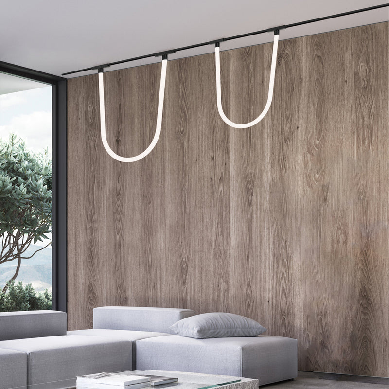 Track Light Fixtures