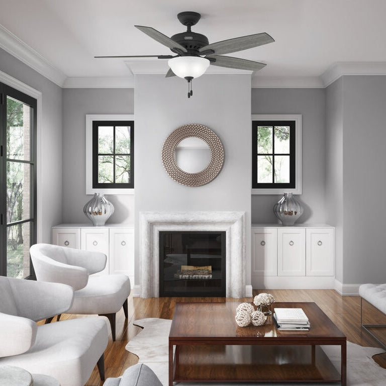 Indoor Ceiling Fans with Lights