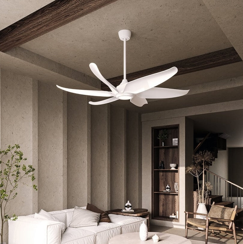 Indoor Ceiling Fans