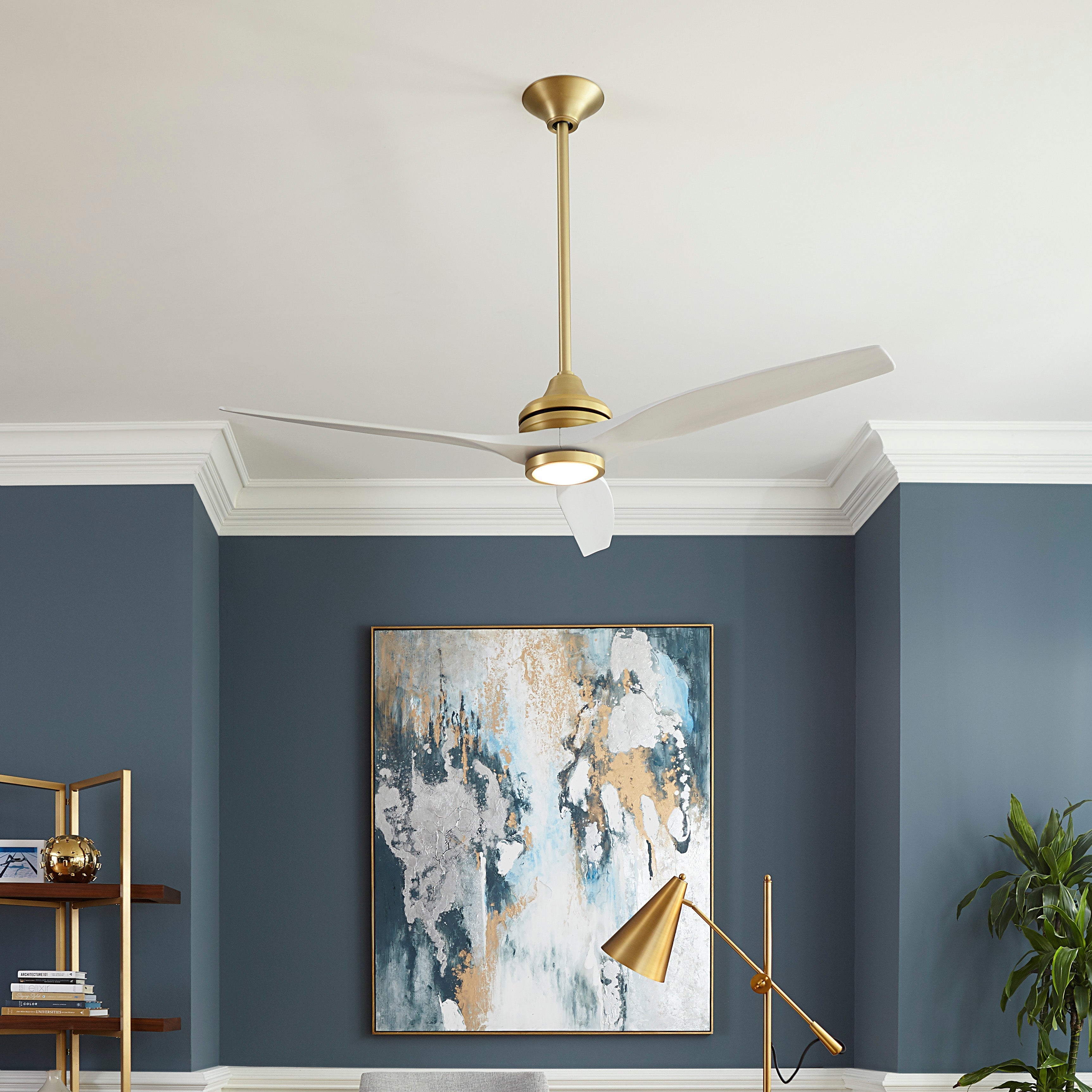 Collections by Fanimation