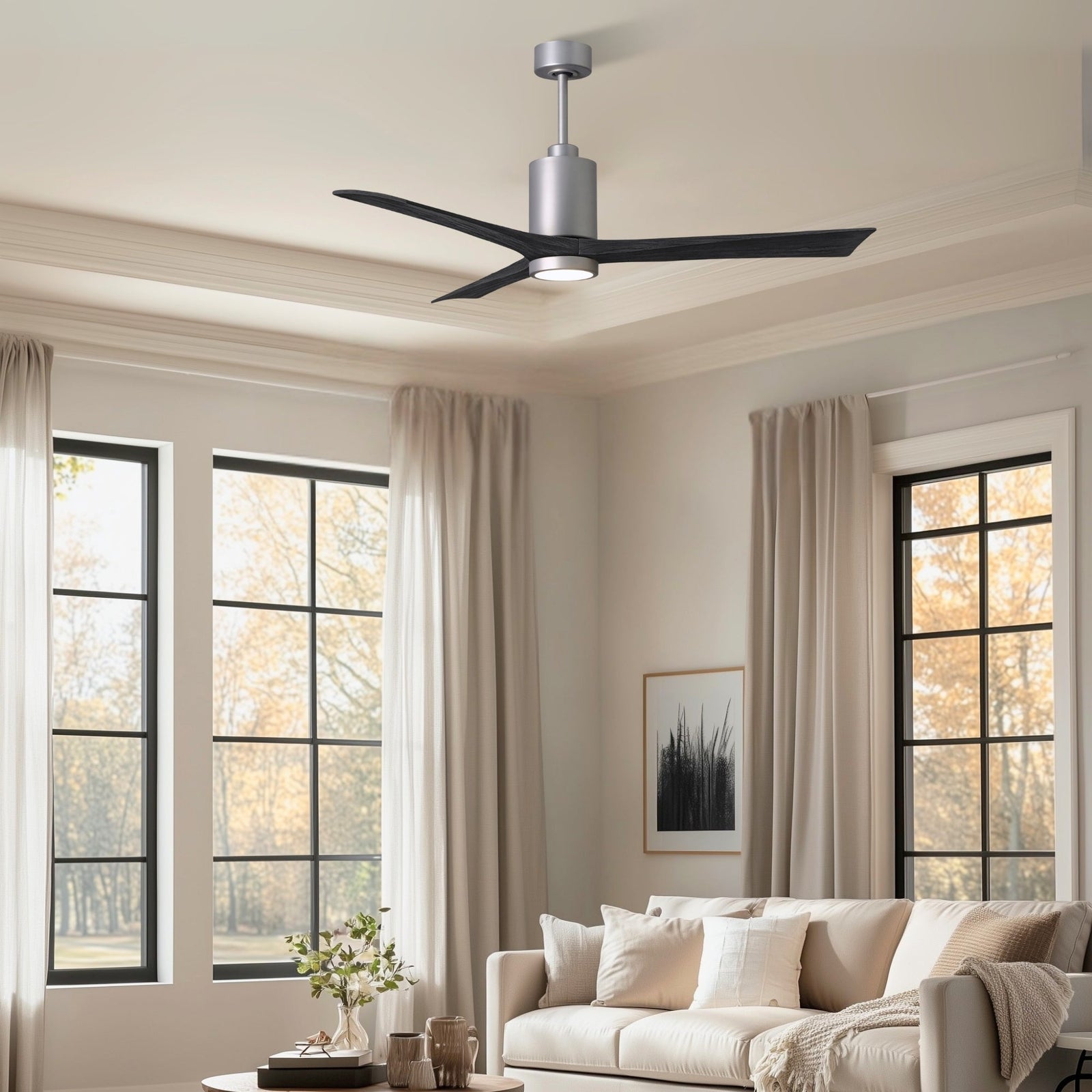 Matthews Ceiling Fans with Lights