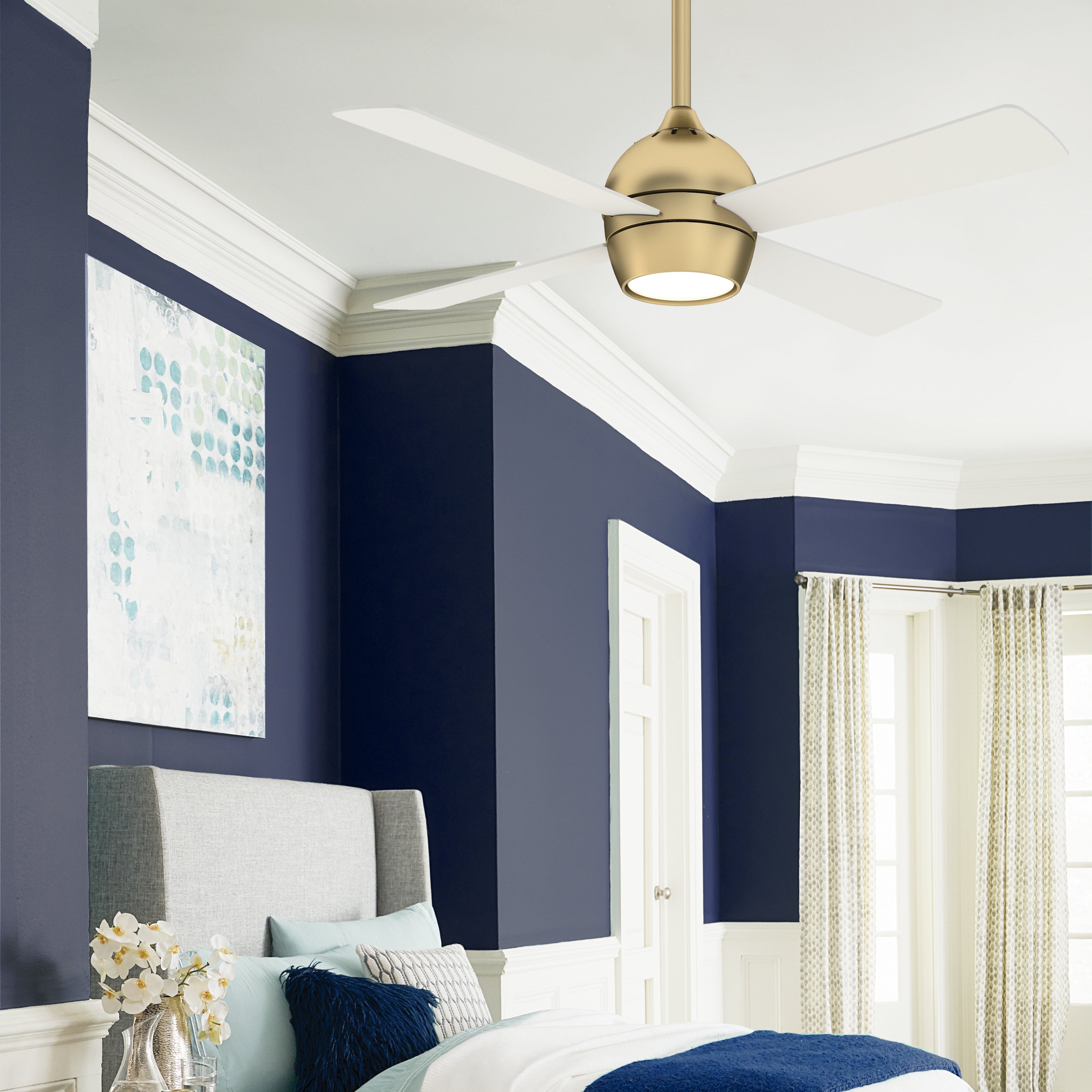 Fanimation Ceiling Fans with Lights