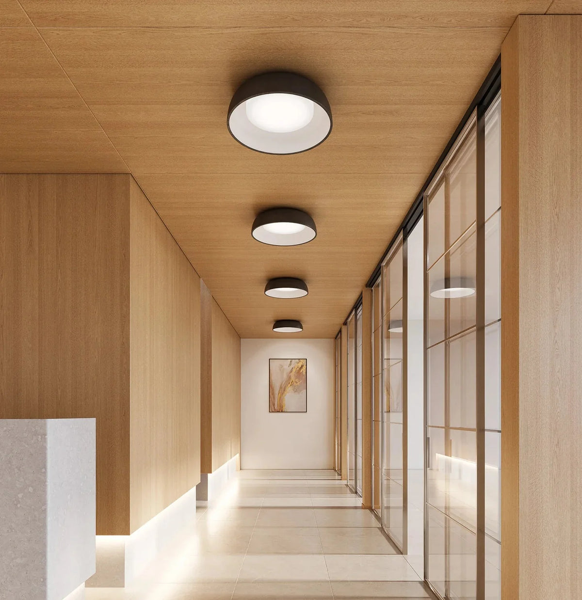 Ceiling Mounted Lights