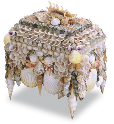 Currey & Company - Boardwalk Shell Jewelry Box