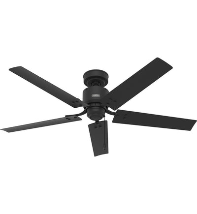 Hunter - Windbound Ceiling Fan
