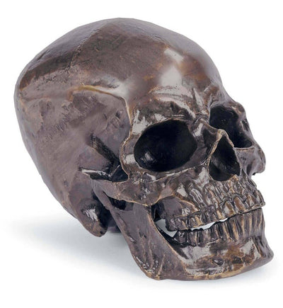 Regina Andrew - Metal Skull