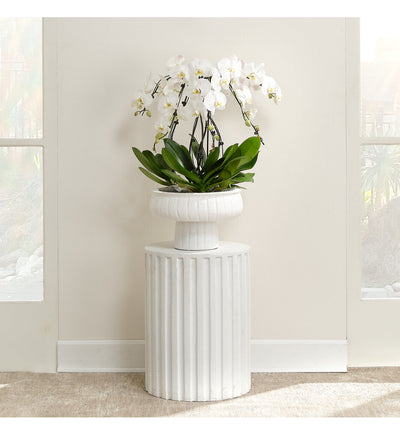 Jamie Young - Fluted 22" Side Table