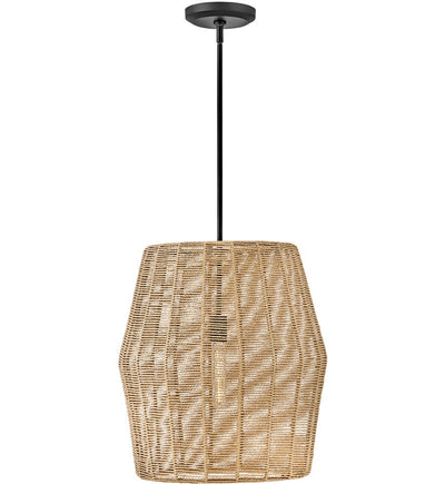 Hinkley Lighting - Luca 20" Pendant
