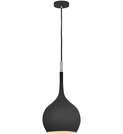 Hinkley Lighting - Ziggy 12" Pendant