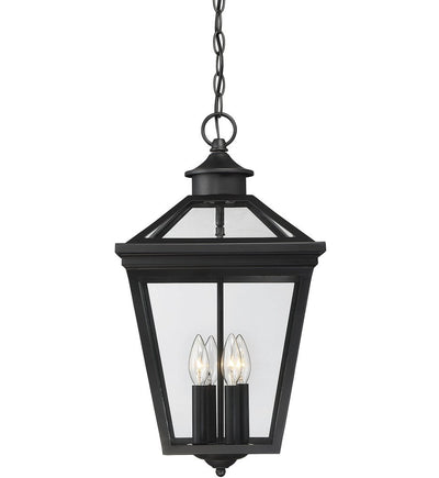Savoy House - 5-145-BK - Ellijay 12" Outdoor Pendant