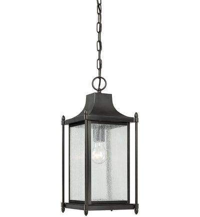 Savoy House - 5-3455-BK - Dunnmore 8" Outdoor Pendant