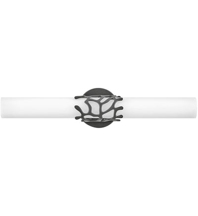 Hinkley Lighting - Lyra 22.5" Bath Vanity Light