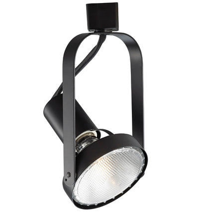 WAC Lighting - 764 Line Voltage PAR30 Track Head