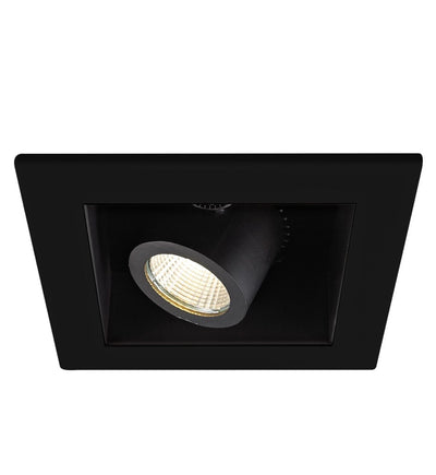 WAC Lighting - Visible Trim Single Light LED Precision Module Trim