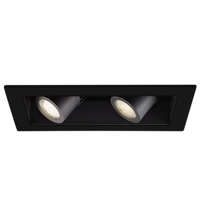 WAC Lighting - Visible Trim 2 Light LED Precision Module Trim