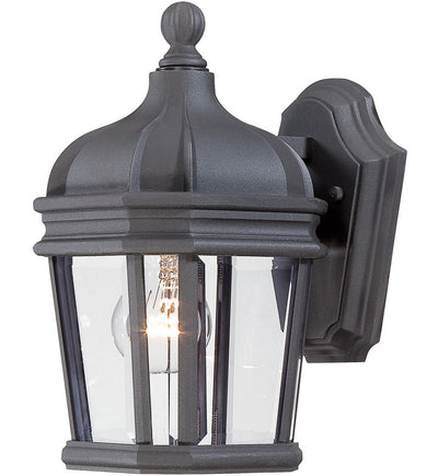 The Great Outdoors - Harrison 11.5" Outdoor Wall Light