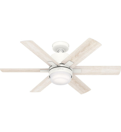Hunter - Radeon Ceiling Fan