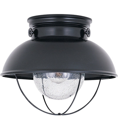 Generation Lighting - Sebring 11.25" Outdoor Flush Mount