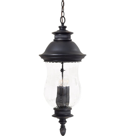 The Great Outdoors - 8904-94 - Newport 12" Outdoor Pendant