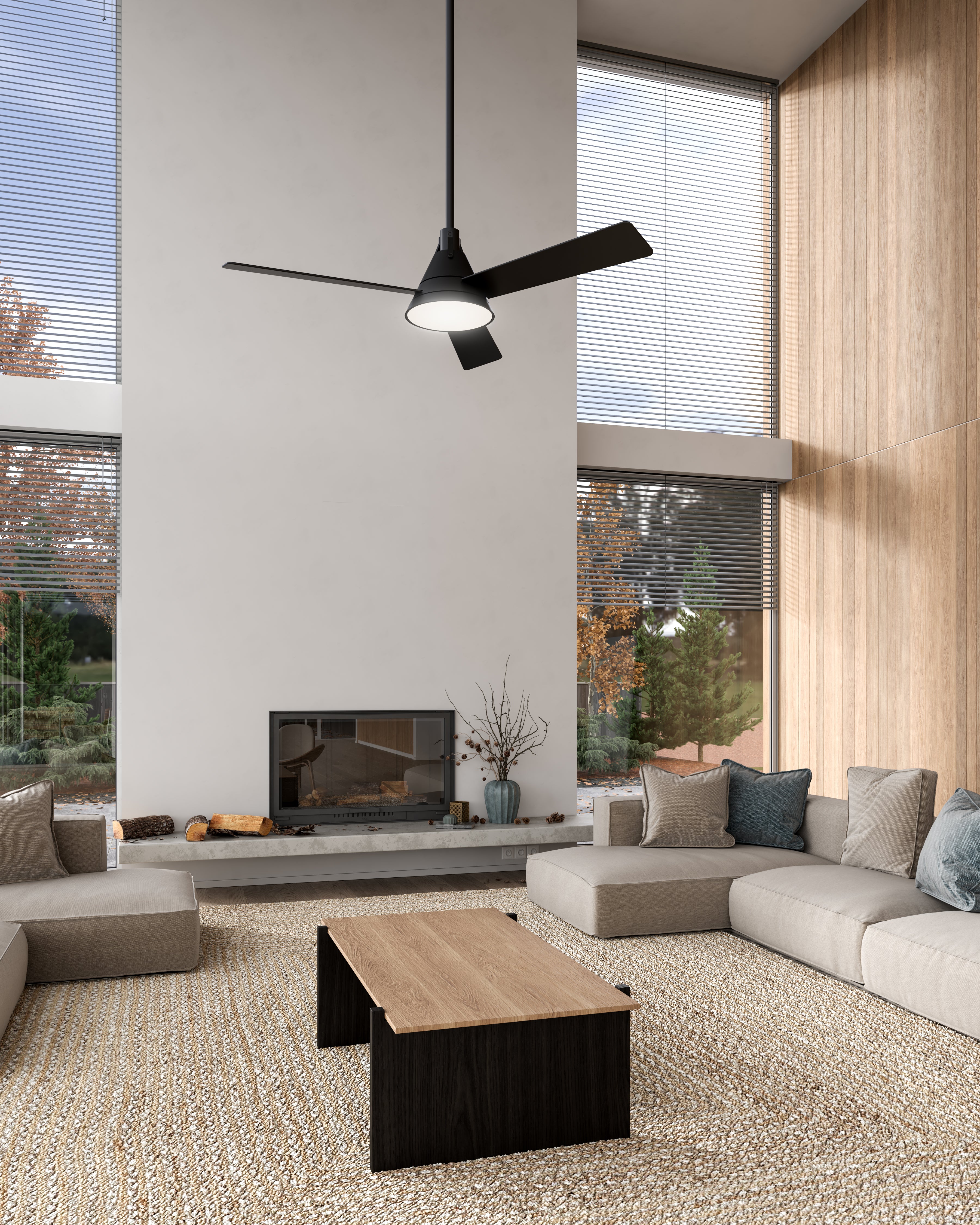 Ceiling Fans