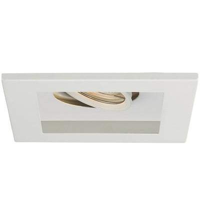 WAC Limited - WAC 1 Light Visible Low Voltage Multispot Recessed Trim