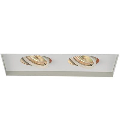 WAC Limited - WAC 2 Light Invisible Low Voltage Multispot Recessed Trim