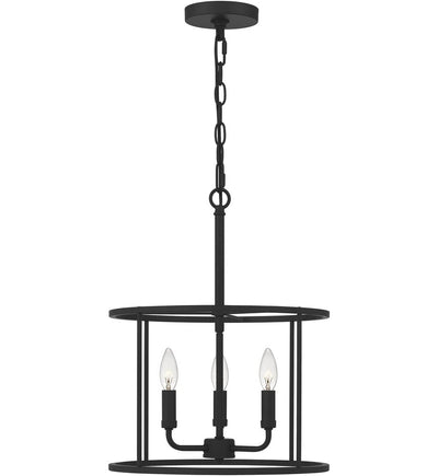 Quoizel - Abner 14" Pendant