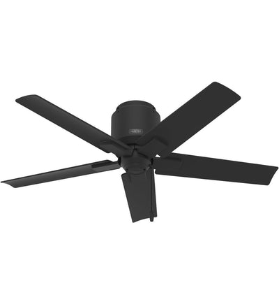 Hunter - Terrace Cove Flush Mount Fan
