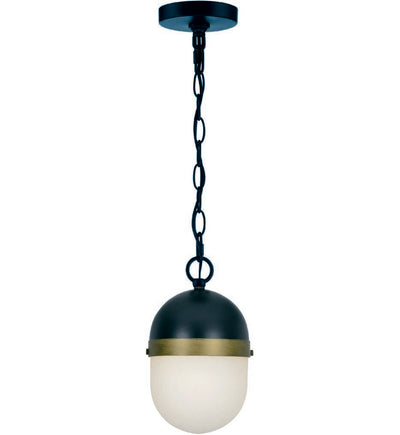 Crystorama - CAP-8506-MK-TG - Capsule 12.25" Outdoor Pendant