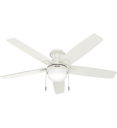 Hunter - Anisten 52" Flush Mount Fan