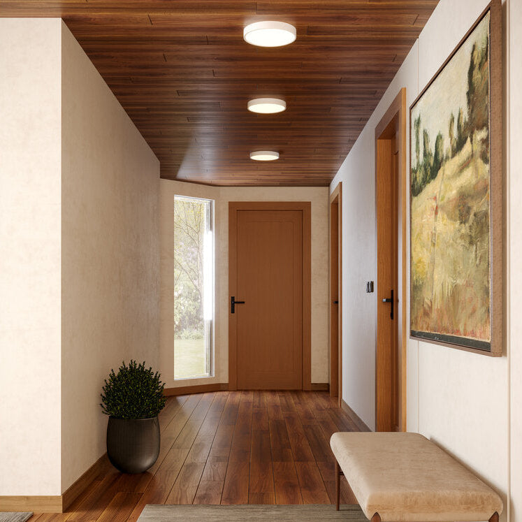 Foyer Flush Mount Ceiling Lights