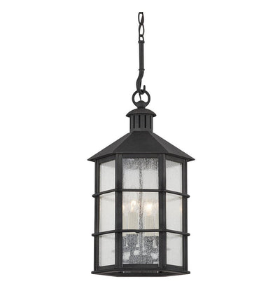 Troy Lighting - F2526-FRN - Lake County 25.75" Outdoor Pendant