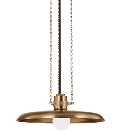 Troy Lighting - F3216-PBR - Rainhill 16" Pendant