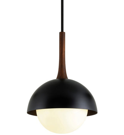 Troy Lighting - F7646-SBK - Cadet 21" Pendant