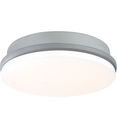 Fanimation - LK8534AGP - Kute Light Kit