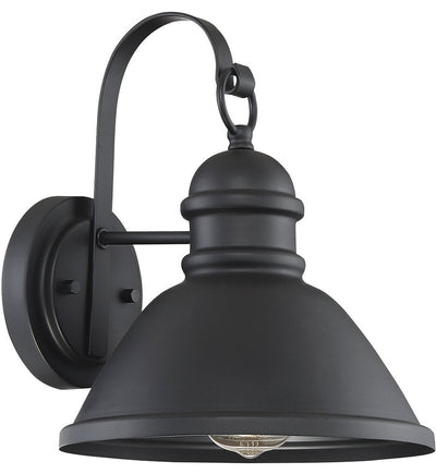 Meridian - M50016BK - Meridian 12" Outdoor Wall Sconce