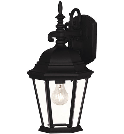 Meridian - M50055BK - Meridian 18" Outdoor Wall Lantern