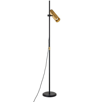 Troy Lighting - PFL9665-PBR/SBK - Quinn 65" Floor Lamp